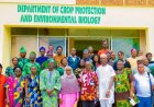 UI VC Calls for Strategic Partnerships to Sustain Public University Funding