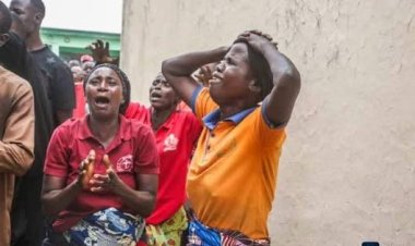 Panic in Borno as Insurgents Attack School 36 Students and 3 Teachers Missing