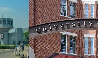 University of Ibadan and University of Florida Explore Collaboration in Precision Agriculture and Livestock Development