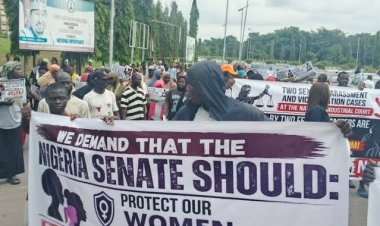 Coalition of Civil Society Organizations Protest at National Assembly, Urge Senate to Suspend Ex-FUOYE VC Fasina’s Ambassadorial Confirmation