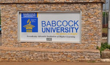 Babcock VC Advocates Greater Government Investment in Sports Infrastructure
