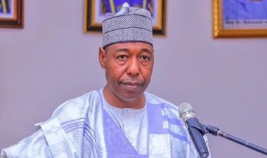 Governor Zulum Expands Education Access with Two New Secondary Schools in Biu