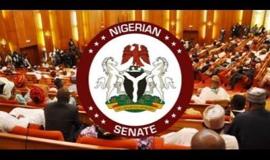 Senate Honours Fallen Heroes with ₦50m Donation After Oyo School Rescue Operation