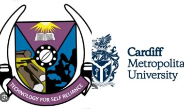 FUTA, Cardiff Metropolitan University to Co-Host HerHCAI 2026 Workshop on Women, AI