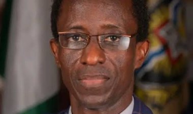 Professor Peter Olapegba Emerges University of Ibadan's 14th Vice-Chancellor