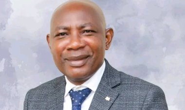 FUTA Appoints Professor Peter Ayodeji As Dean Of School Of Postgraduate Studies