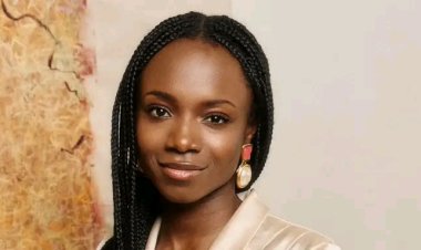 Nigerian-American Harvard Graduate Develops World's First Braid-Assist Robot