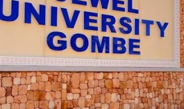 Gombe Community Rejects Farmland Acquisition for Proposed Jewel University Site