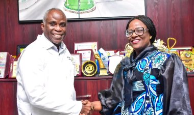 UCH Ibadan Department Of Medicine Honours Prof. Oladapo