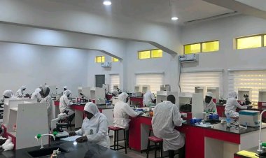 FUO Medical Laboratory Science Students Record 100 Percent Success in Professional Examination