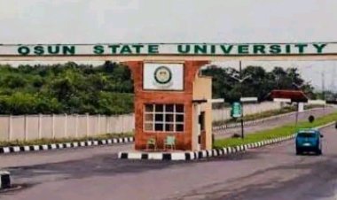 UNIOSUN to Hold 29th Inaugural Lecture on Governance in Nigeria