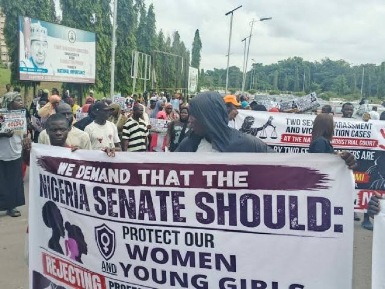 Coalition of Civil Society Organizations Protest at National Assembly, Urge Senate to Suspend Ex-FUOYE VC Fasina’s Ambassadorial Confirmation