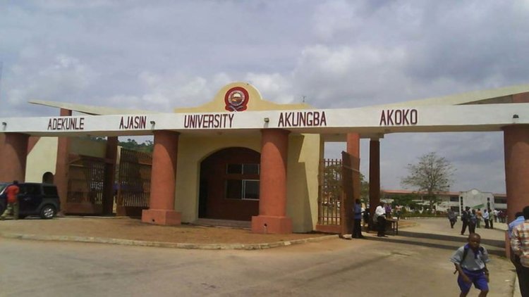 Adekunle Ajasin University, Akungba-Akoko AAUA Lecturers Begin Indefinite Strike Over Two Months' Unpaid Salaries
