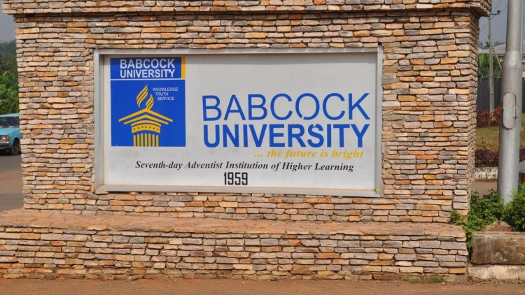 Babcock VC Advocates Greater Government Investment in Sports Infrastructure