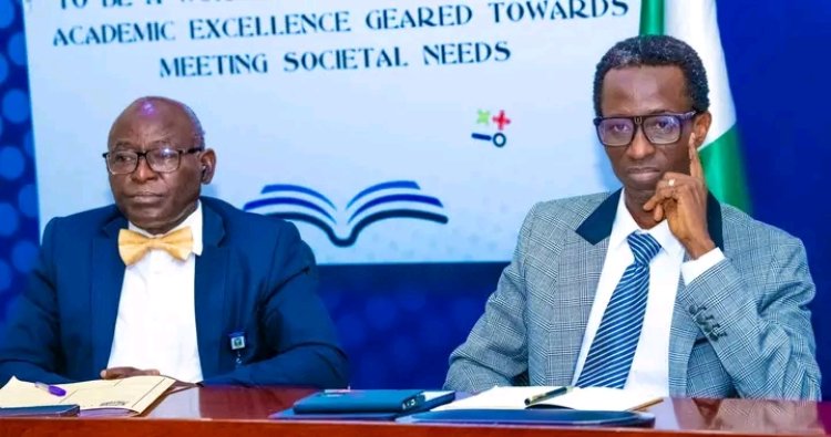 Digital Transformation Key To Sustainable Development, Says UI Deputy Vice-Chancellor