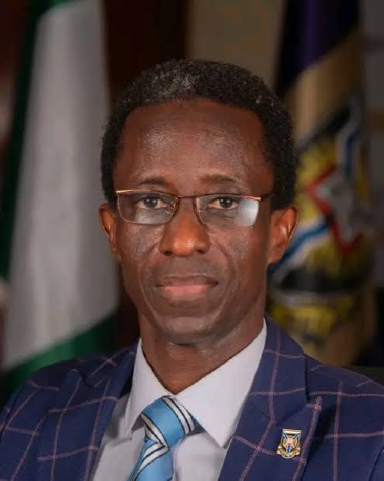 Professor Peter Olapegba Emerges University of Ibadan's 14th Vice-Chancellor