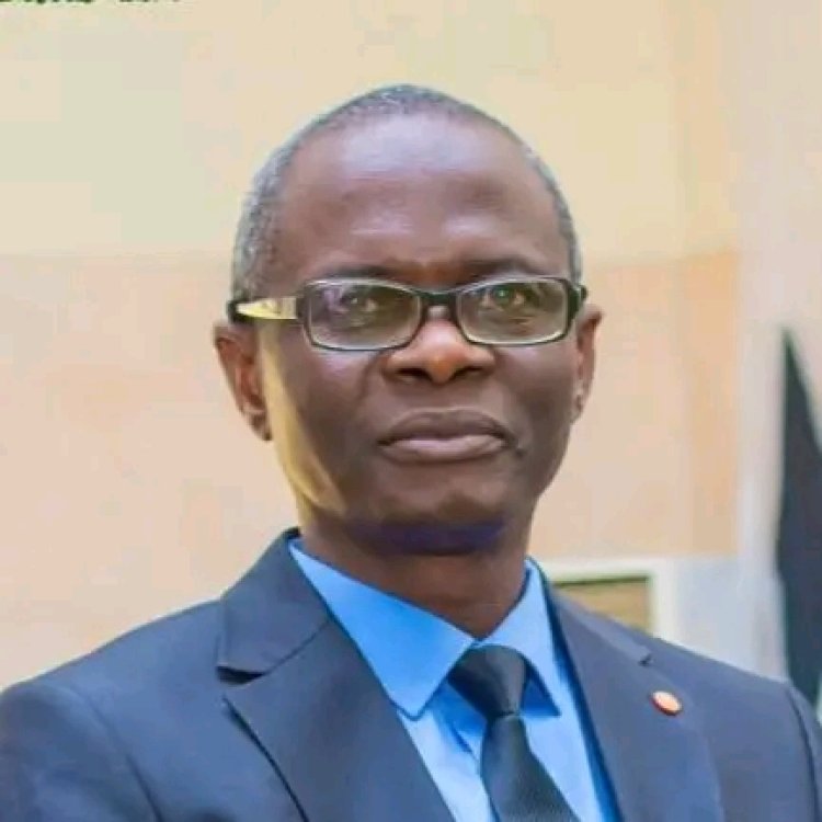 ACU Professor Okwezuzu Advocates Recognition Of Ecocide As Fifth International Crime