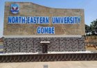 North-Eastern University Gombe Offers 50% Scholarship to Students in Six Science Programmes