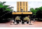 Yobe State University Introduces Tree Planting Requirement for Students Before Certificate Clearance