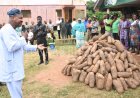 FUNAAB Commences Massive Sales of Newly Harvested Yam Tubers, Other Farm Produce