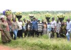 FUNAAB Intensifies Agricultural Revitalisation, Food Security Drive as 8-Hectare Maize Farm Enters Harvest Season