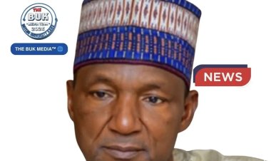 Meet Professor Ibrahim Ahmad Rufai: The Mechanical Engineer Leading BUK’s Research, Innovation, and Global Collaborations