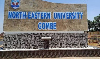 North-Eastern University Gombe Offers 50% Scholarship to Students in Six Science Programmes