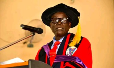 Nigeria Needs Better Management, Allocation of Project Resources, Says FUTA Professor