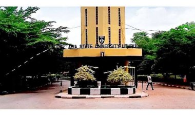 Yobe State University Introduces Tree Planting Requirement for Students Before Certificate Clearance