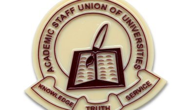 Gombe Colleges, Polytechnic Workers Begin 14-Day Strike Over Outstanding Entitlements