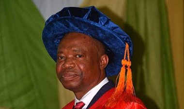 Osun University Professor Bolaji Olumuyiwa Omitola  Warns Excessive Centralisation Is Undermining Nigeria’s Development