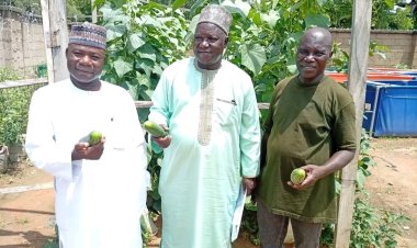 FUAMB, ADSU Forge Agribusiness Alliance To Boost Food Security In North East