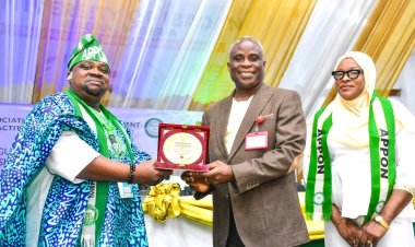 “Africa Must be an Active Architect of Her Future,” says UI DVC