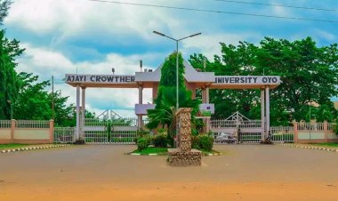 Ajayi Crowther University Records Major Rise in Global University Rankings