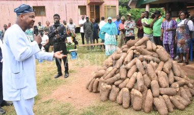 FUNAAB Commences Massive Sales of Newly Harvested Yam Tubers, Other Farm Produce