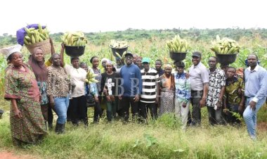 FUNAAB Intensifies Agricultural Revitalisation, Food Security Drive as 8-Hectare Maize Farm Enters Harvest Season