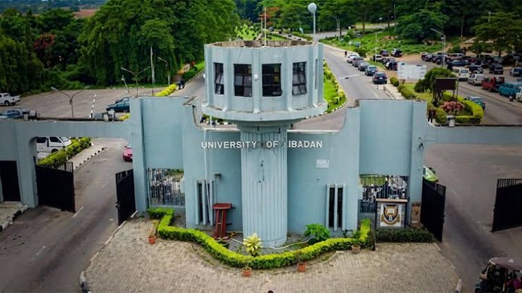 University of Ibadan to Admit Only 350 MBBS Students for 2026/2027 as Competition Intensifies