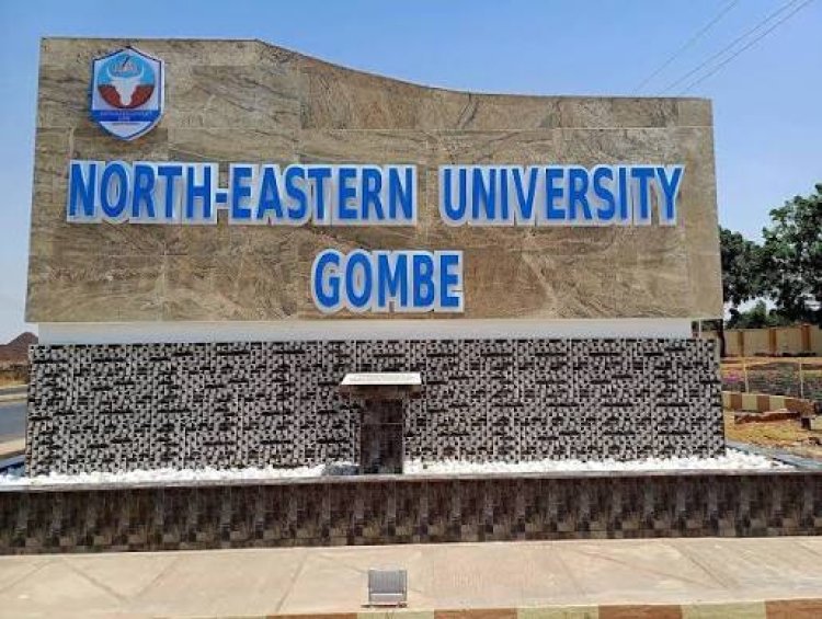 North-Eastern University Gombe Offers 50% Scholarship to Students in Six Science Programmes