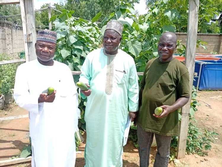 FUAMB, ADSU Forge Agribusiness Alliance To Boost Food Security In North East