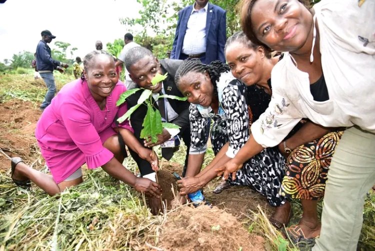 FUTA Expands Teaching and Research Farm with Cocoa, Cassava Planting