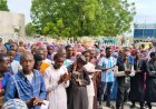 Entrance Examinations Commence at College of Nursing Sciences, FMC Nguru