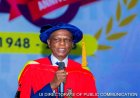 UI Don Calls for Comprehensive Interventions to Tackle Intimate Partner Violence in Nigeria
