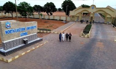 North-Eastern University Gombe Approves 40%–65% Salary Increase for Staff