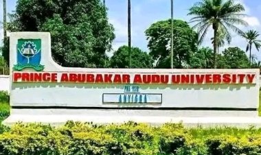 PAAU Expels 6 Students for Examination Misconduct, Withdraws 9 Over Registration and Academic Violations
