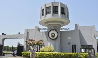 University of Ibadan Makes History With First Faculty of Physiotherapy in Nigeria