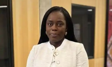 Nigerian-Born Professor Ibironke Odumosu-Ayanu Appointed Dean of Law at University of Saskatchewan