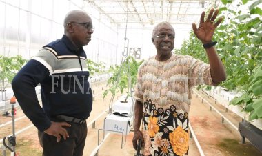 FUNAAB VC Lauds Research Progress at TETFund-Sponsored Automated Greenhouse Facility on Campus