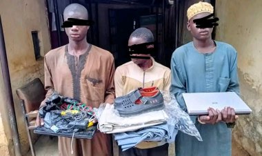 FUE Zaria Security Arrests Three Suspects Over Alleged Campus Vandalism