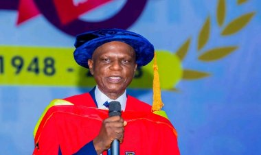 UI Don Calls for Comprehensive Interventions to Tackle Intimate Partner Violence in Nigeria