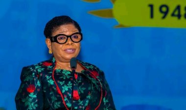 UI University Librarian Advocates Inclusive Access to Library and Information Services